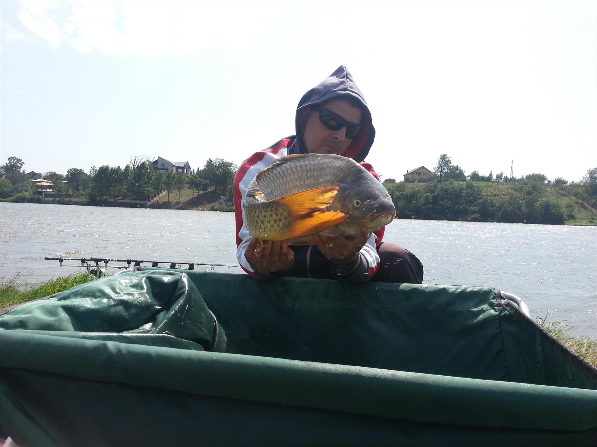 Moara Vlasiei 2 5 septembrie 2014 - 20140905131953.jpg